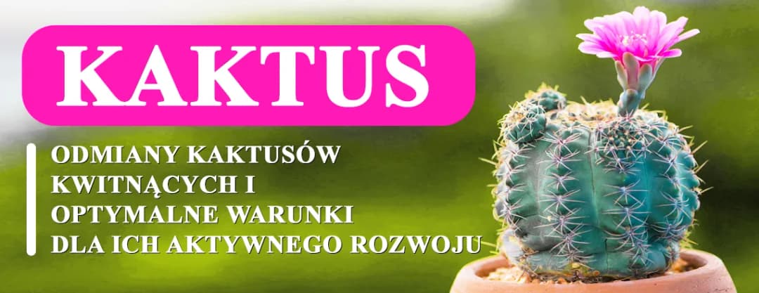 Kiedy kwitną kaktusy? Poznaj tajemnice ich pięknych kwiatów