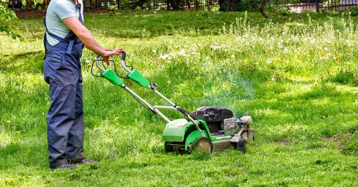 Od kiedy zakaz używania kosiarek spalinowych? Sprawdź ważne przepisy