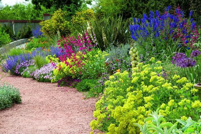 Co warto posadzić w ogrodzie, aby cieszyć się pięknem i plonami