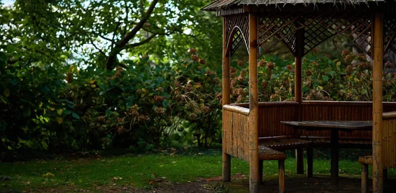 Co posadzić przy altanie, aby stworzyć piękny i funkcjonalny ogród?
