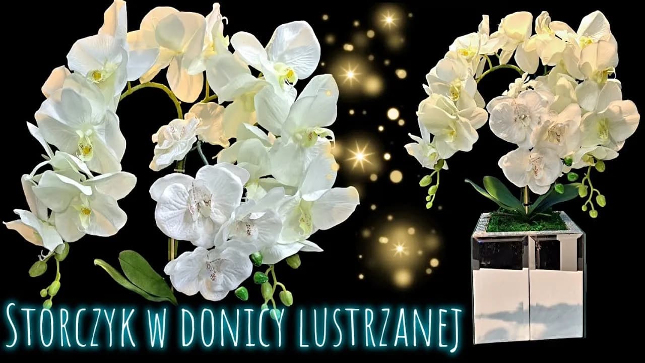 Jak zrobić storczyka w doniczce - proste sposoby na piękne kwiaty