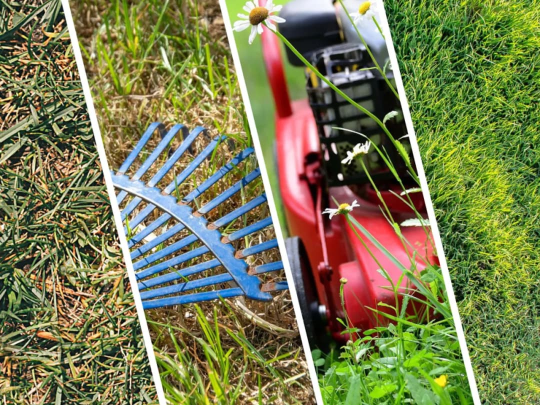 Jak przygotować trawnik na wiosnę – skuteczne kroki do pięknego i zdrowego trawnika