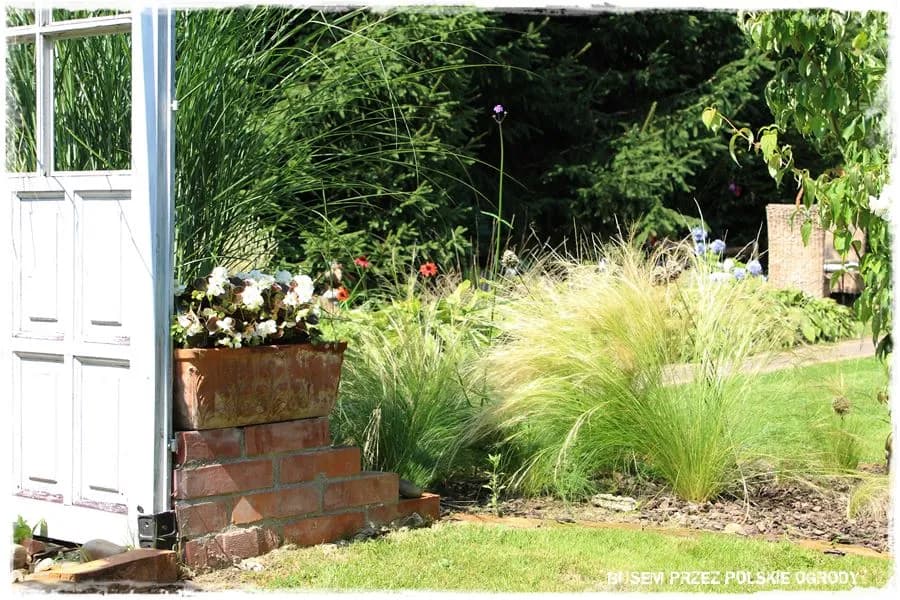 Kreatywne pomysły na stare drzwi w ogrodzie – tanie i efektowne dekoracje DIY