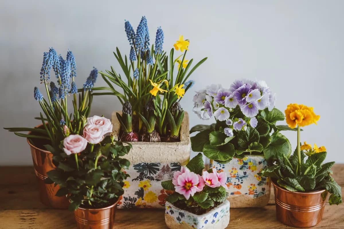 Jak ozdobić doniczki - kreatywne pomysły, które zachwycą każdego