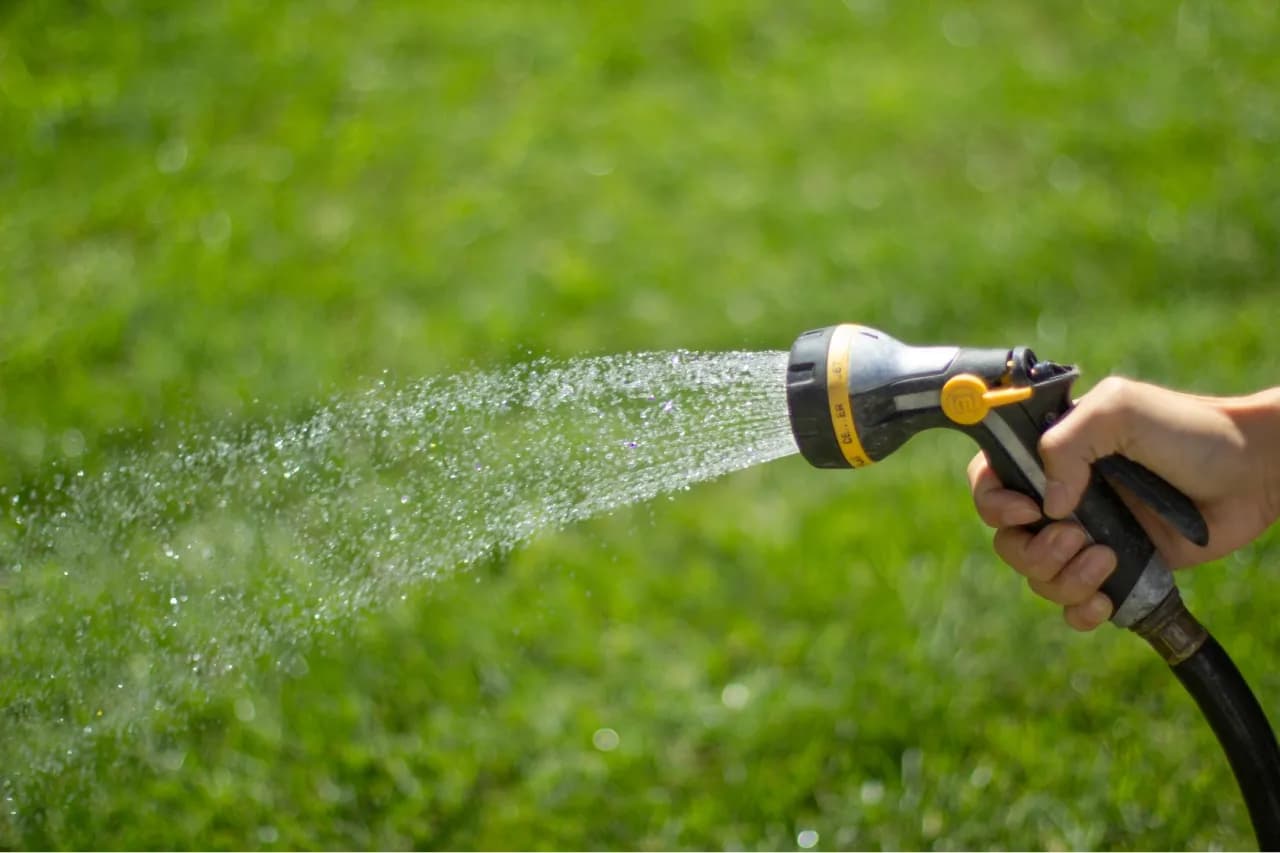 Jak często podlewać trawnik, by uniknąć przesuszenia i strat?