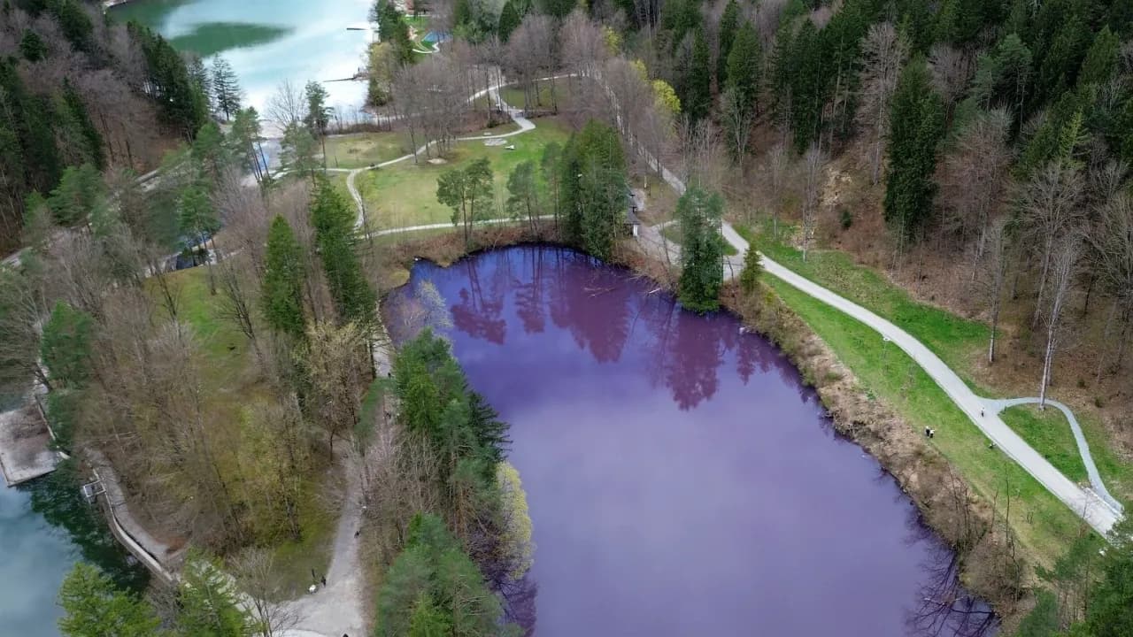 Kiedy kwitnie woda w jeziorze? Zaskakujące fakty i przyczyny