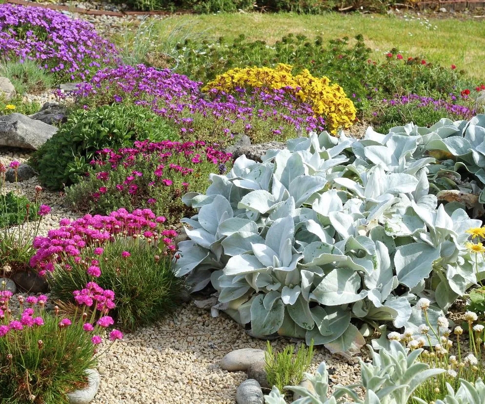 Najlepsze wieloletnie kwiaty na skalniak – jak stworzyć piękny ogród bez wysiłku