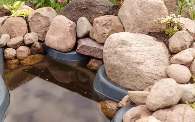 Jak zrobić skalniak z dużych kamieni, aby uniknąć błędów w ogrodzie