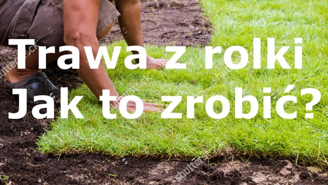 Jak zrobić trawnik od podstaw bez błędów i cieszyć się gęstą murawą