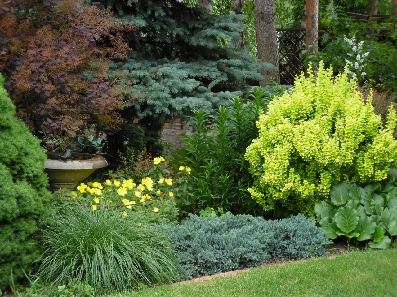 Jak łączyć berberys w ogrodzie? Proste kompozycje i praktyczne porady