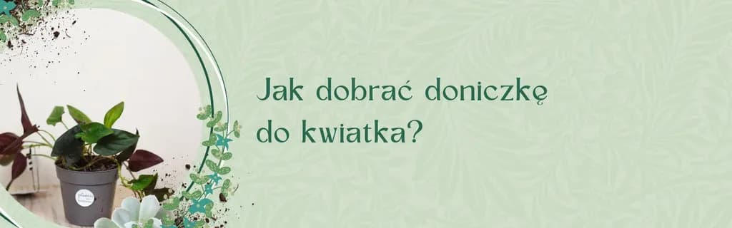 Jak sprawdzić rozmiar doniczki, aby uniknąć błędów przy sadzeniu