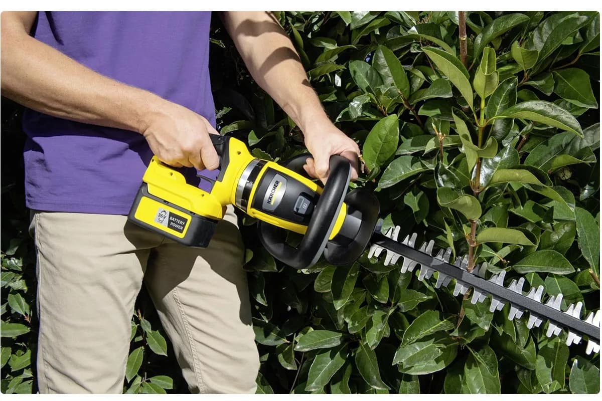 Jakie nożyce do żywopłotu wybrać, aby uniknąć błędów w pielęgnacji?