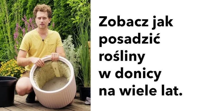 Jak skutecznie sadzić w donicach z wkładem i uniknąć błędów
