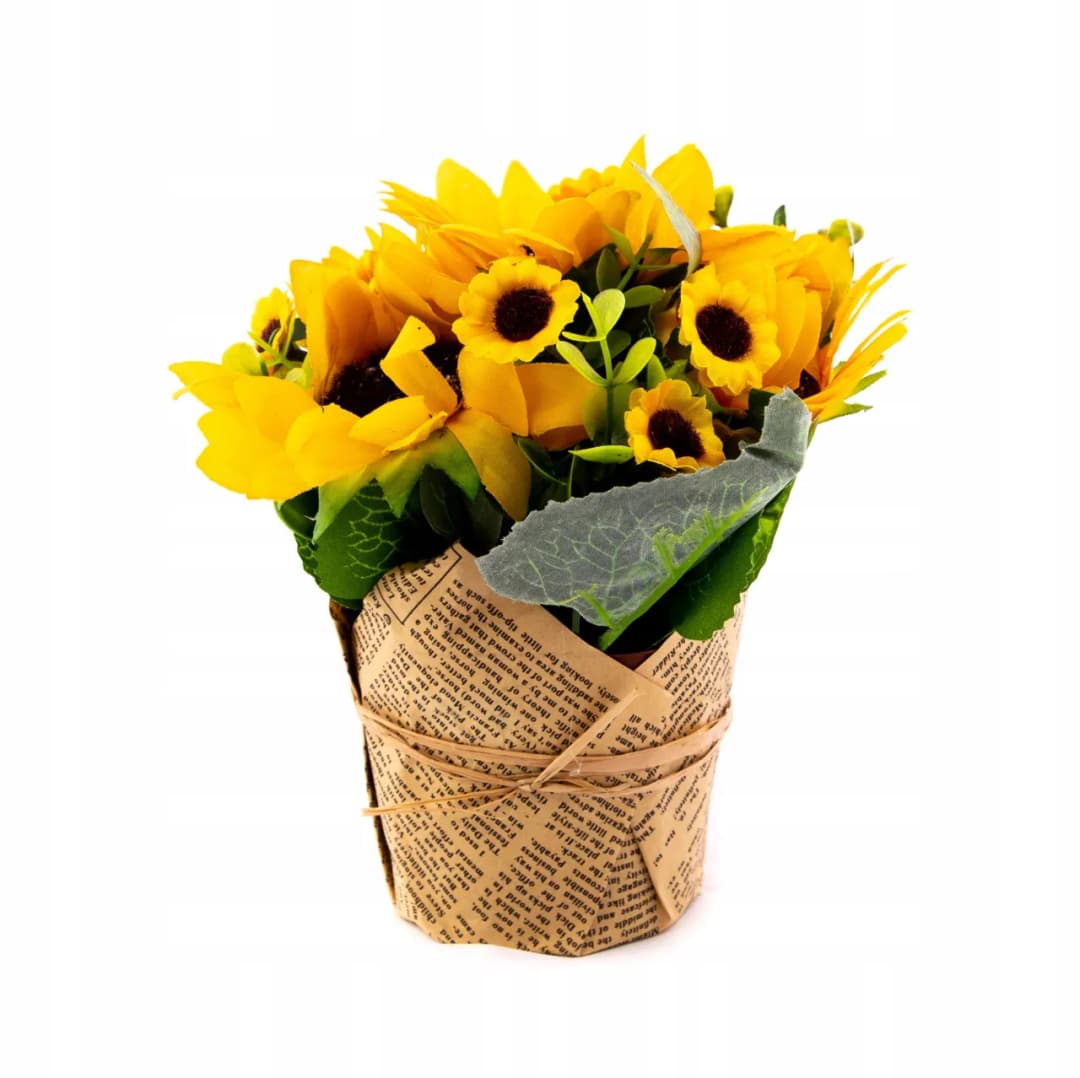 Gdzie kupić słonecznik w doniczce? Sprawdź najlepsze miejsca!