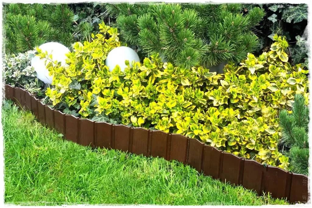 Jak oddzielić tuje od trawnika i uniknąć problemów z pielęgnacją