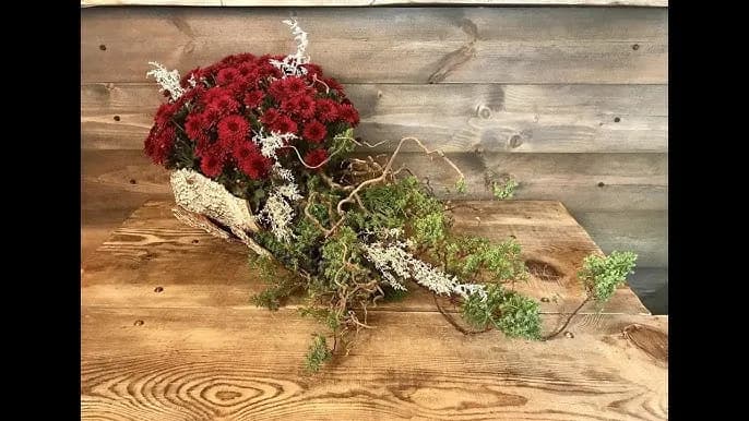 Jak udekorować chryzantemę w doniczce, aby zachwycała przez cały sezon