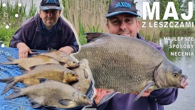 Na co bierze leszcz z gruntu? Skuteczne przynęty na każdą porę roku