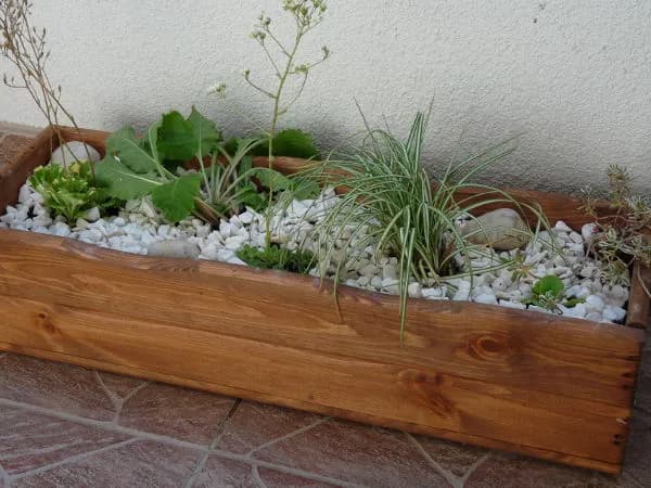 Jak zrobić skalniak w donicy krok po kroku – uniknij błędów i ciesz się pięknem