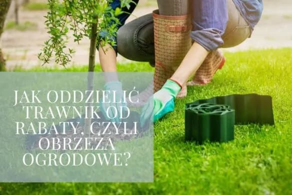 Jak skutecznie oddzielić trawnik od kamieni – proste metody i praktyczne porady