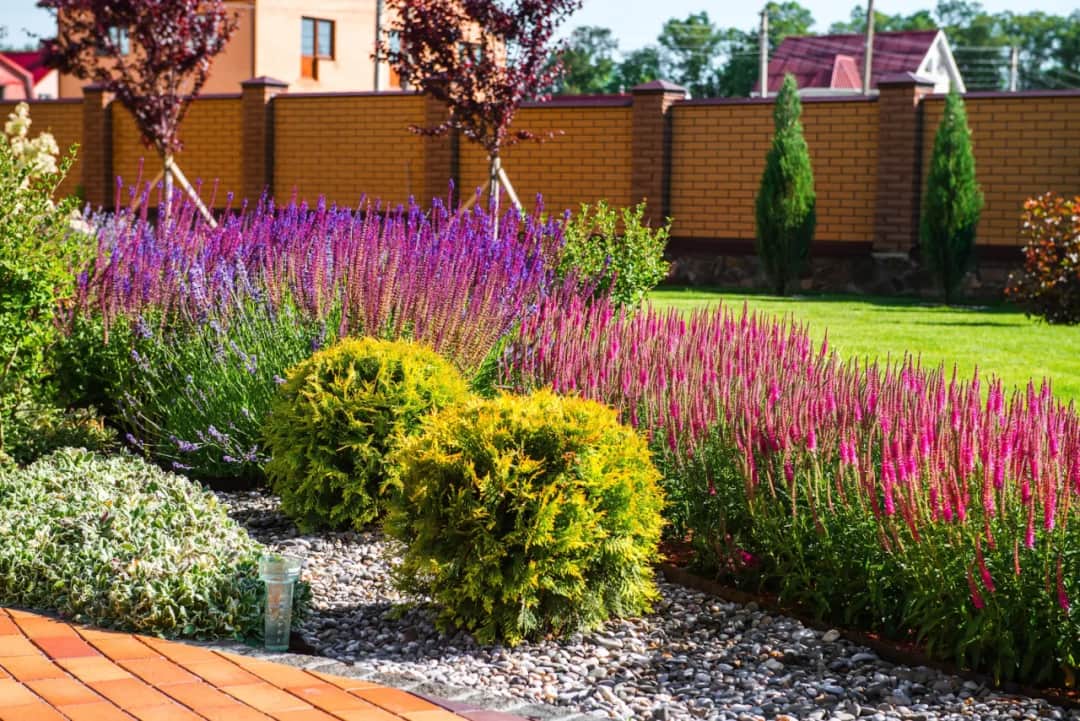 Najlepsze rośliny na rabaty w ogrodzie – jak stworzyć piękne kompozycje?
