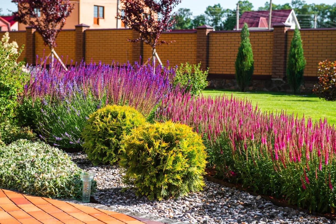 Najlepsze rośliny na rabaty w ogrodzie – jak stworzyć piękne kompozycje?